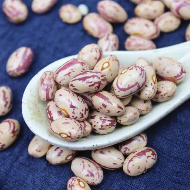 قیمت خرید لوبیا چیتی ۹۰۰ گرمی فامیلا + فروش ویژه
